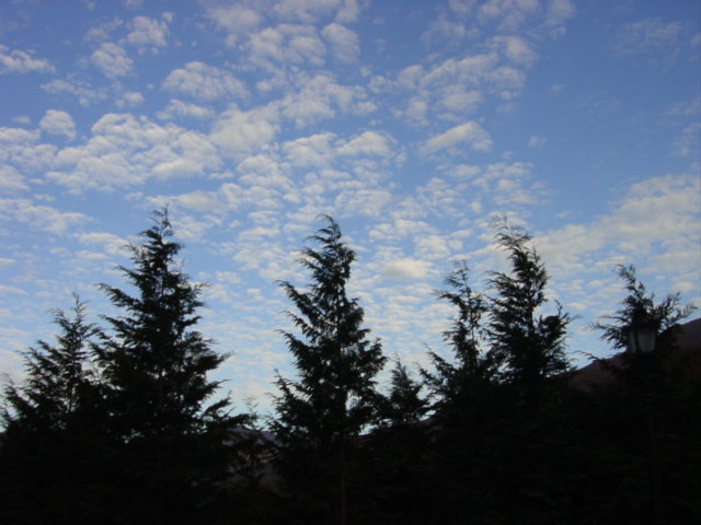 DSC01609.JPG